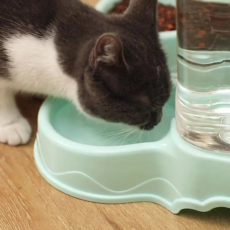 3.8L PP material Pet feeder Pet Water Fountain Drink Bowl