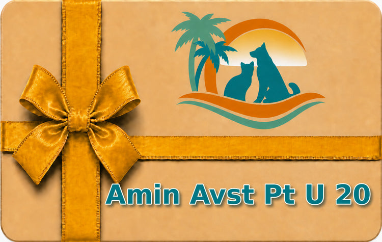 Amin Avst Pt U 20