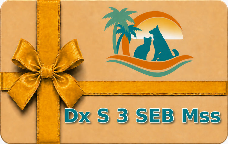 Dx S 3 SEB Mss