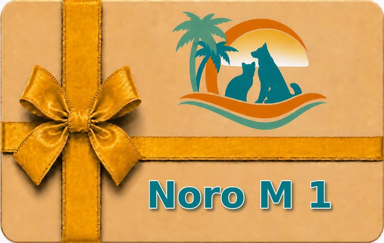 Noro M 1