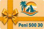 Asl-Peni-500-30-t