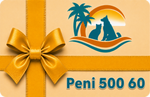 Asl-Peni-500-60-t