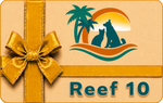 Reef 10