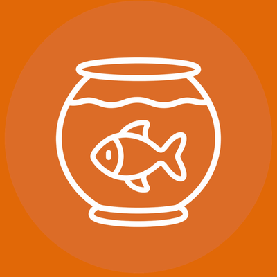 Fish Supplies