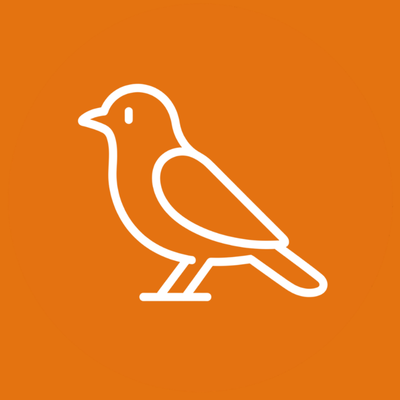 Bird Supplies