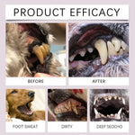 Pen Pet Teeth Cleaning