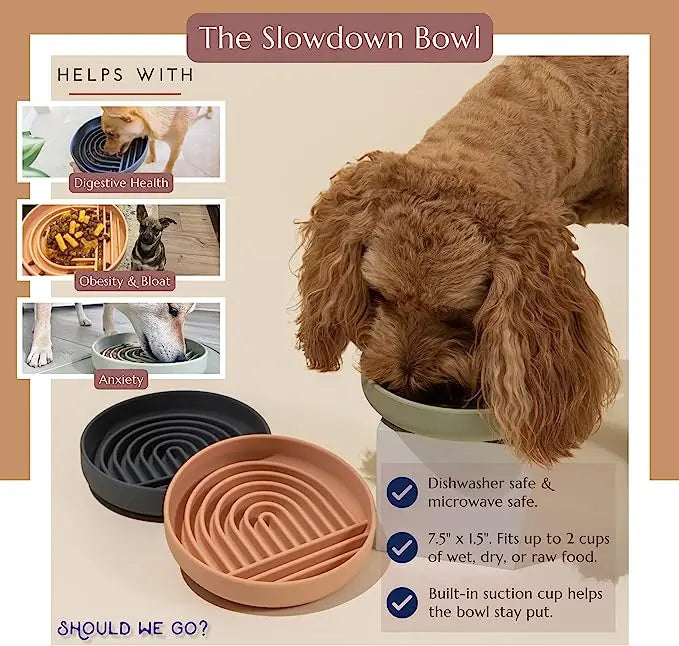 Slow Food  Bowl Cat Anti-Knockover