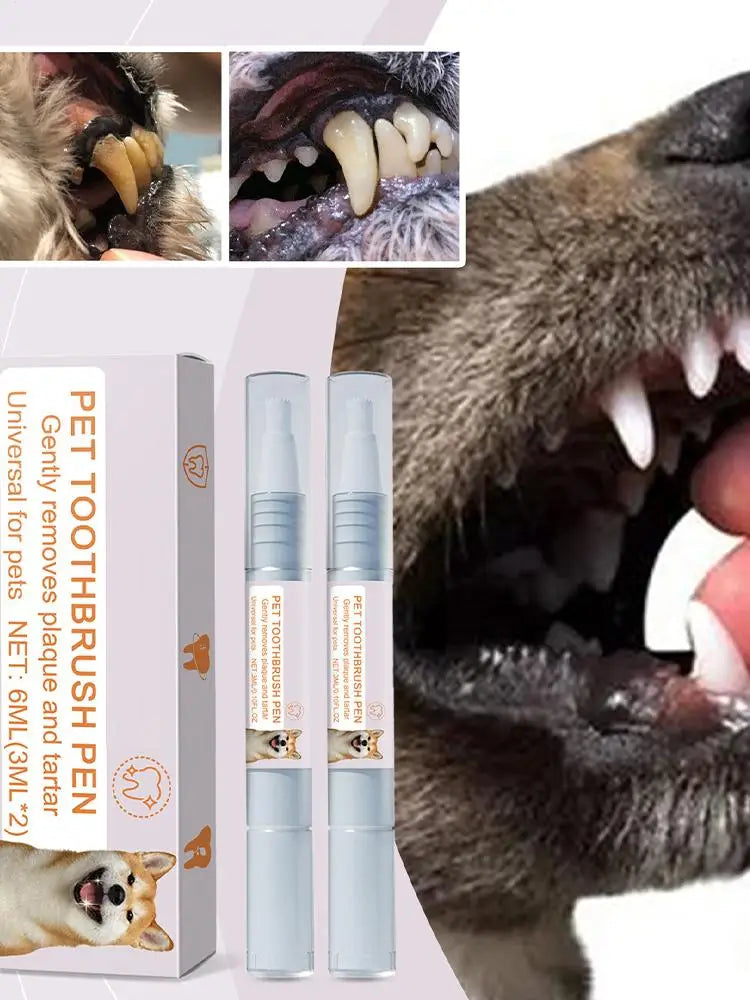 Pen Pet Teeth Cleaning