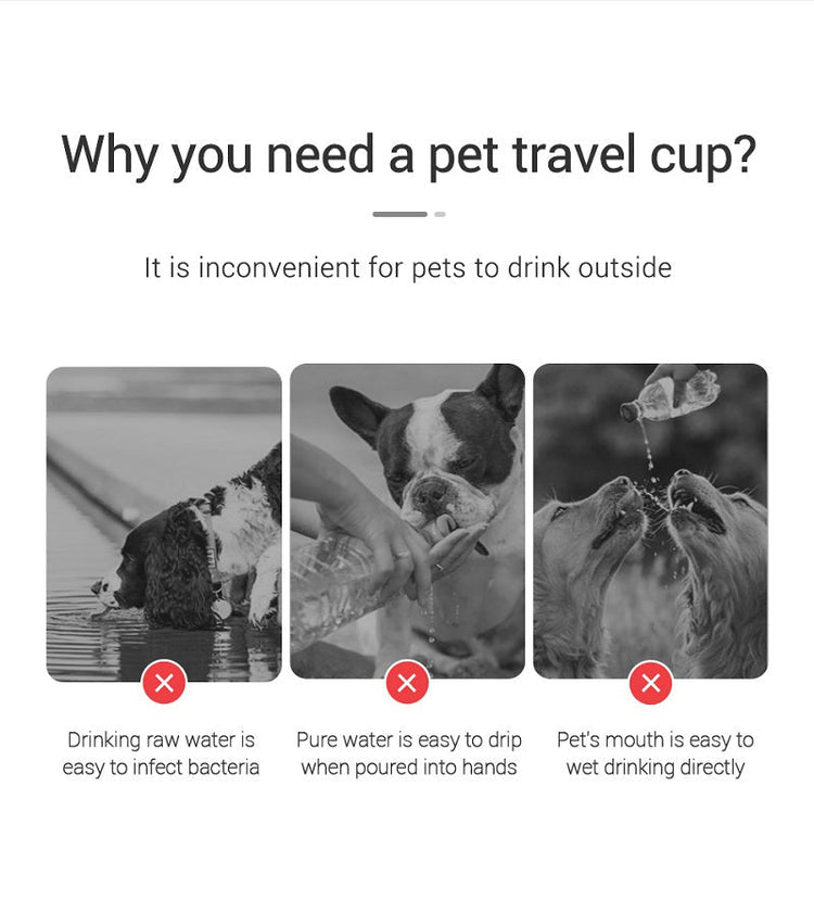 Portable Dog Water Bottle For Small Large Dogs