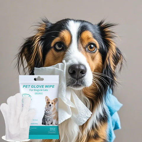 pet disposable gloves, bathing and cleaning for cats and dogs