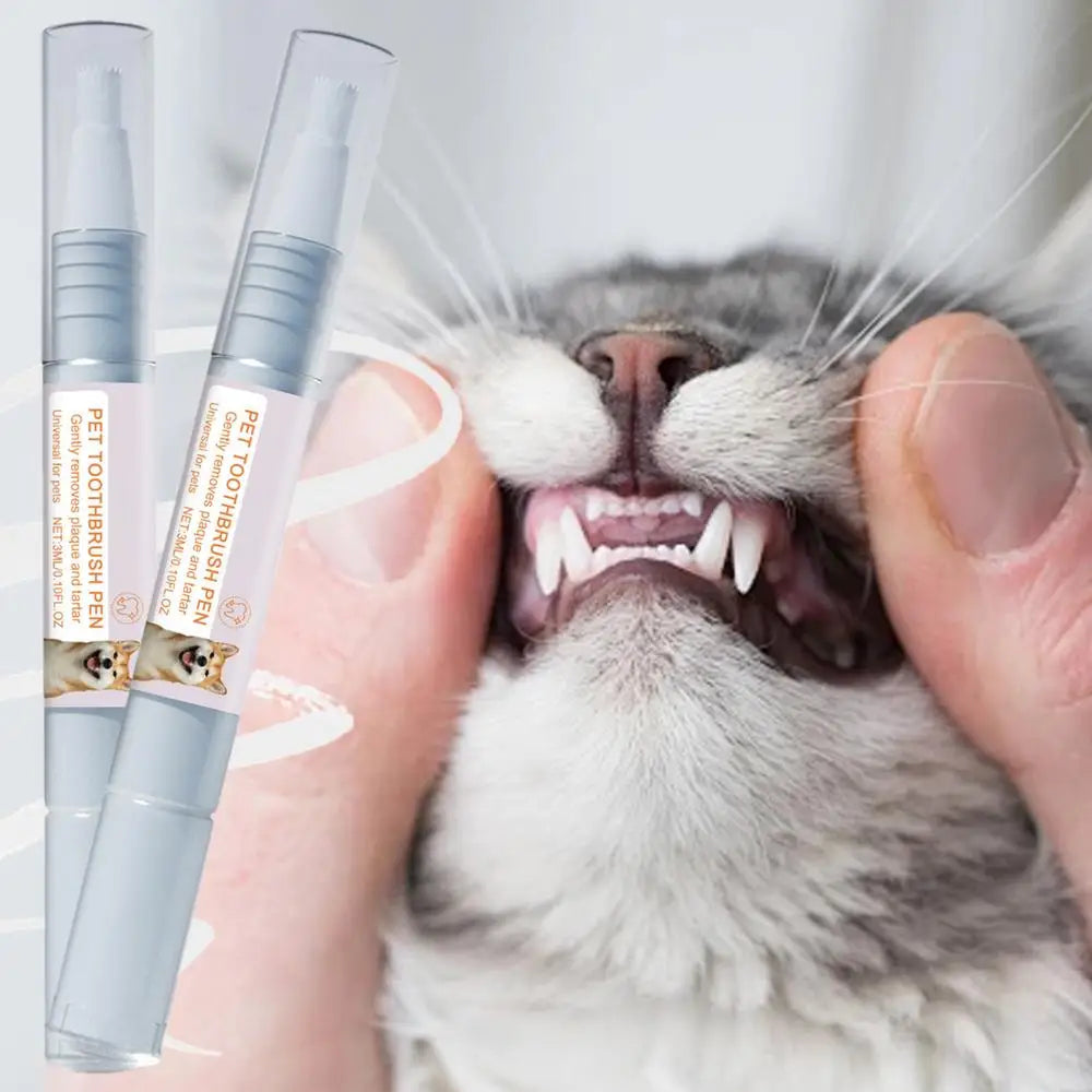 Pen Pet Teeth Cleaning