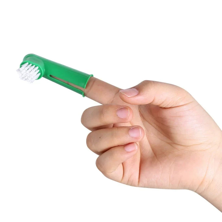 Pet Toothbrush Set