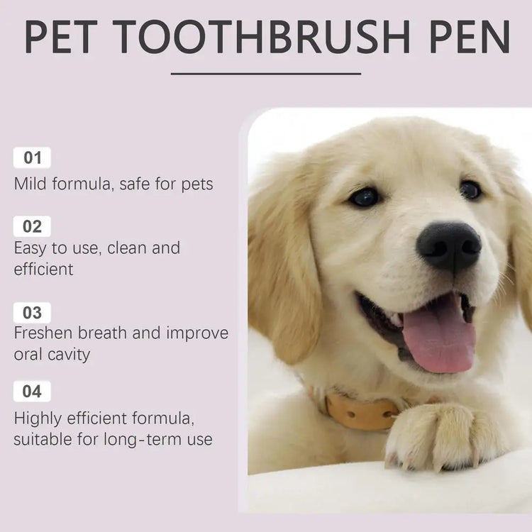 Pen Pet Teeth Cleaning