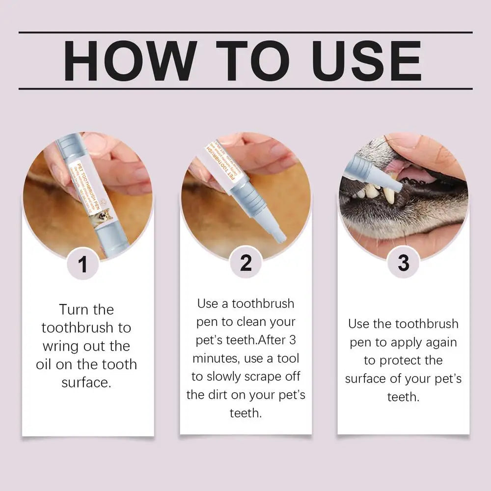 Pen Pet Teeth Cleaning