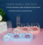 Elevated Bowls for Cats and Dogs