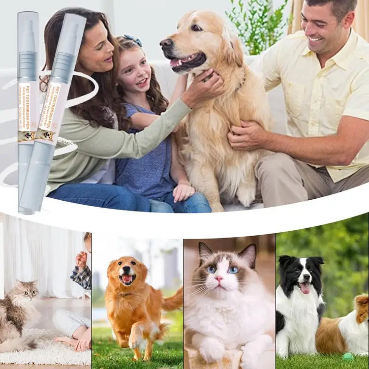 Pen Pet Teeth Cleaning