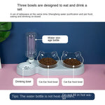 Elevated Bowls for Cats and Dogs