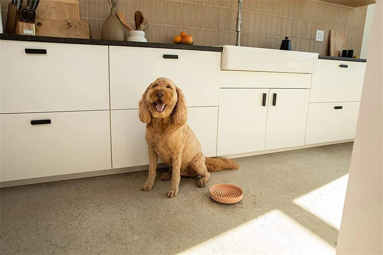 Slow Food  Bowl Cat Anti-Knockover