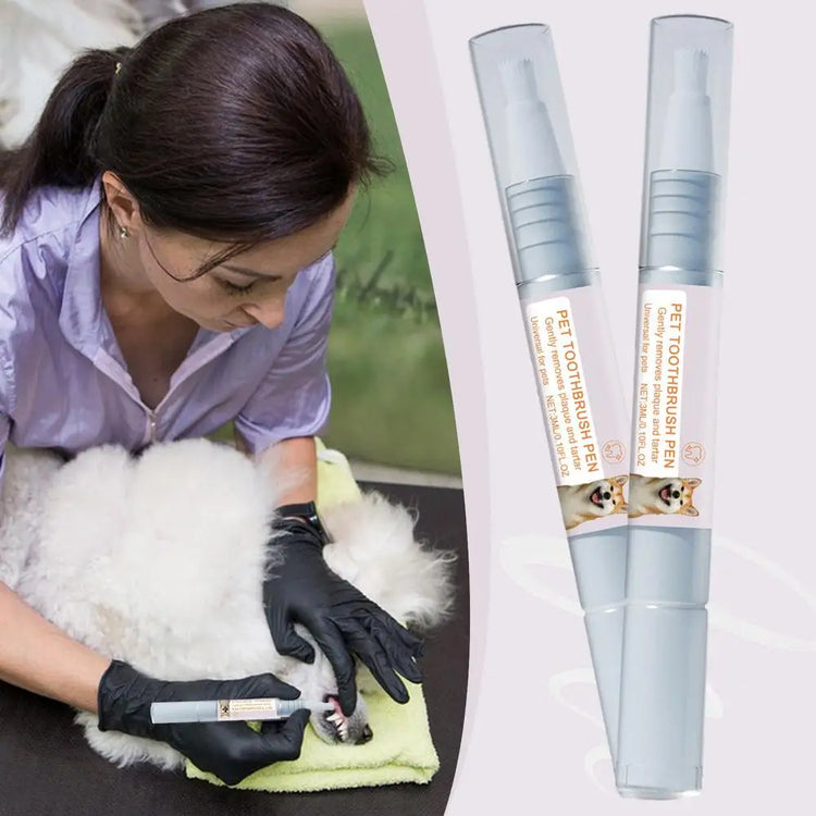 Pen Pet Teeth Cleaning