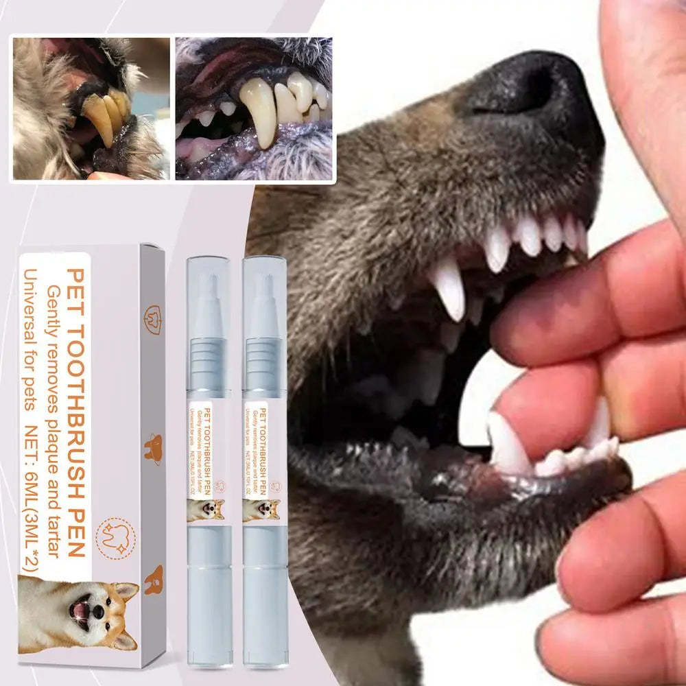 Pen Pet Teeth Cleaning