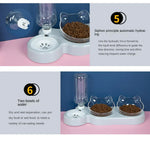 Elevated Bowls for Cats and Dogs