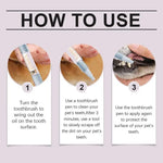 Pen Pet Teeth Cleaning
