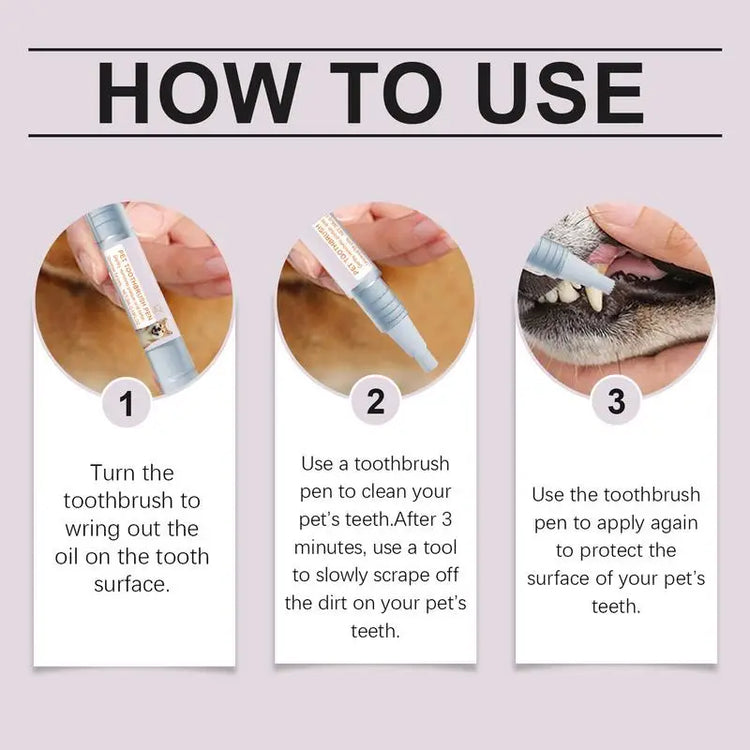 Pen Pet Teeth Cleaning