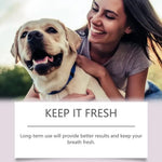 Pen Pet Teeth Cleaning