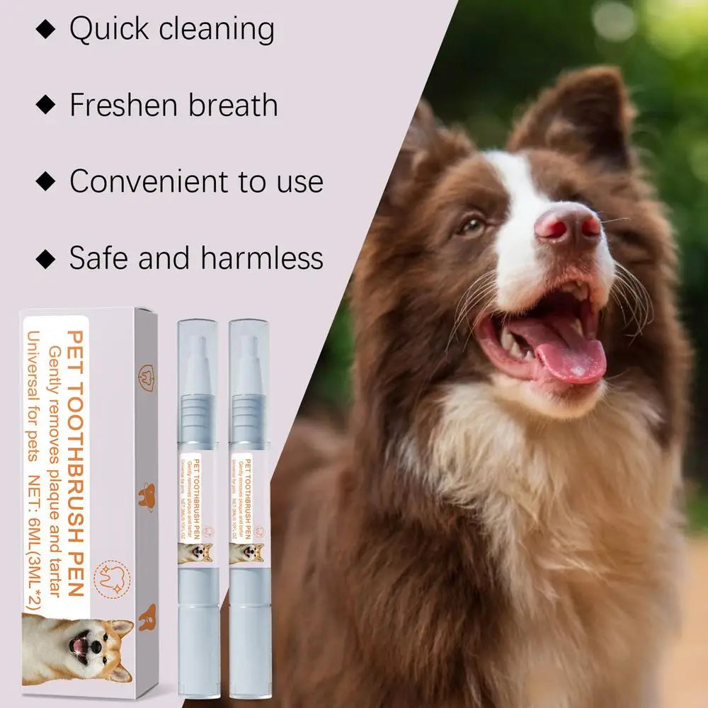 Pen Pet Teeth Cleaning