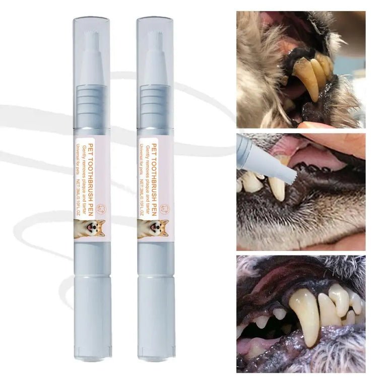 Pen Pet Teeth Cleaning