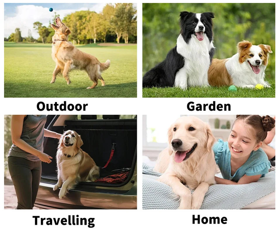 pet disposable gloves, bathing and cleaning for cats and dogs
