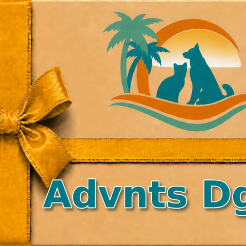 Advnts Dg B