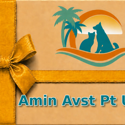 Amin Avst Pt U 20