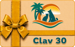 Aqua-Clav-30-t