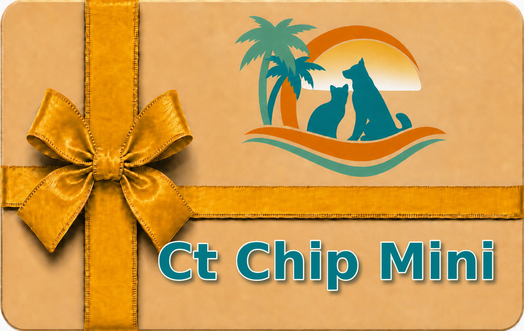 Ct Chip Mini