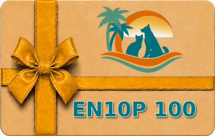 EN10P 100