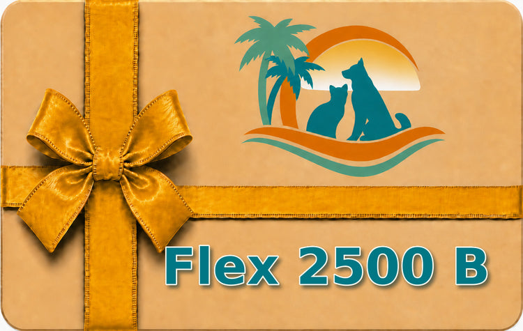 Flex 2500 B